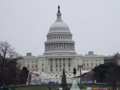 The United States Capitol